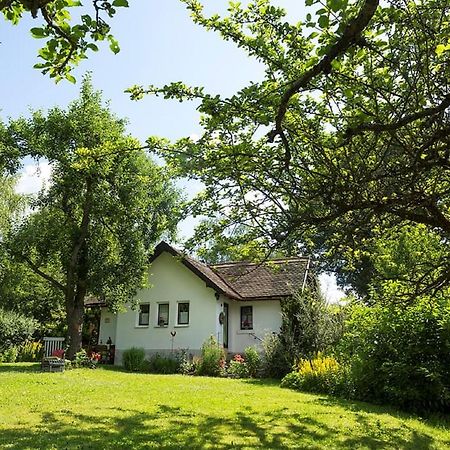 Ferienhaus Am Alten Bahndamm Waldsassen Eksteriør billede